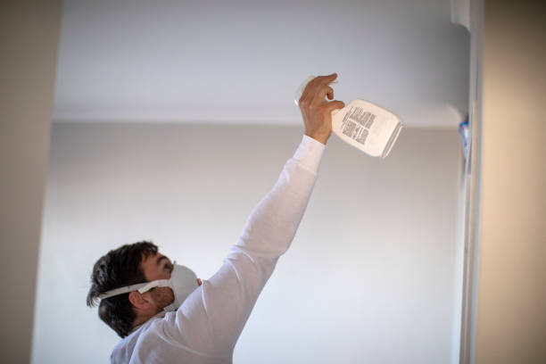Best Post-Flood Mold Remediation in Kidron, OH